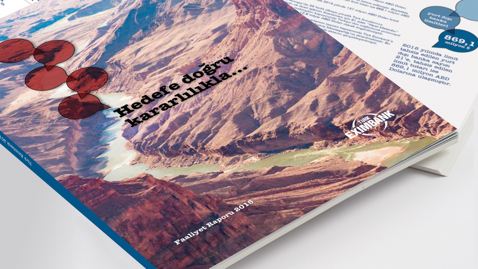 TÜRK EXİMBANK / 2015 Faaliyet Raporu / 2015 Annual Report