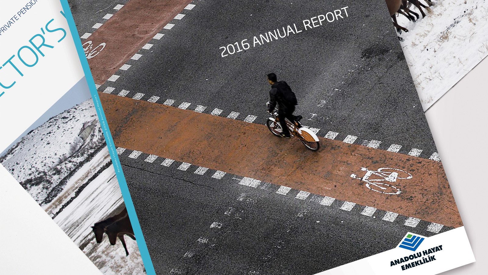 ANADOLU HAYAT EMEKLİLİK / 2016 Faaliyet Raporu / 2016 Annual Report