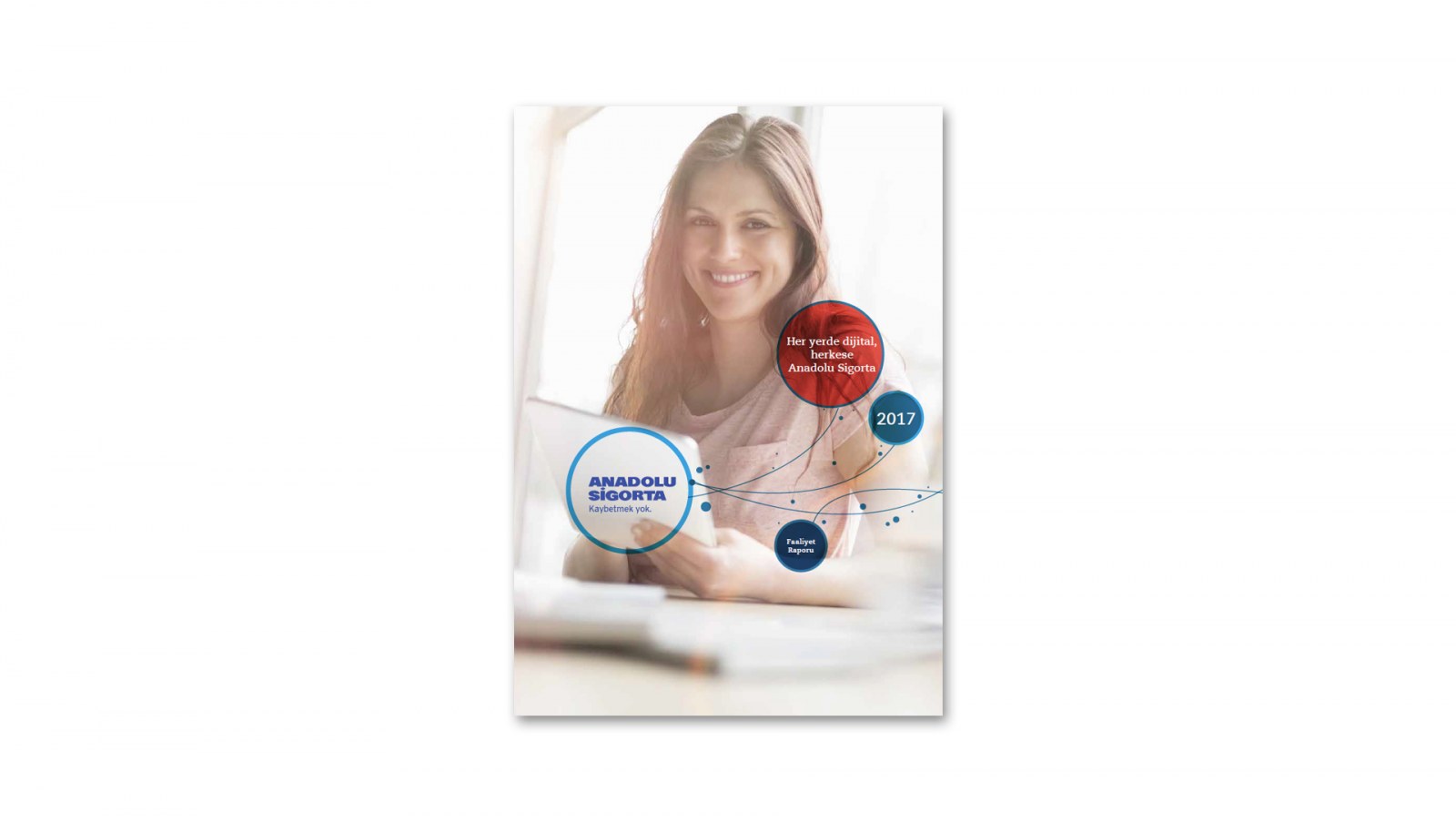 ANADOLU SİGORTA / 2017 Faaliyet Raporu / 2017 Annual Report