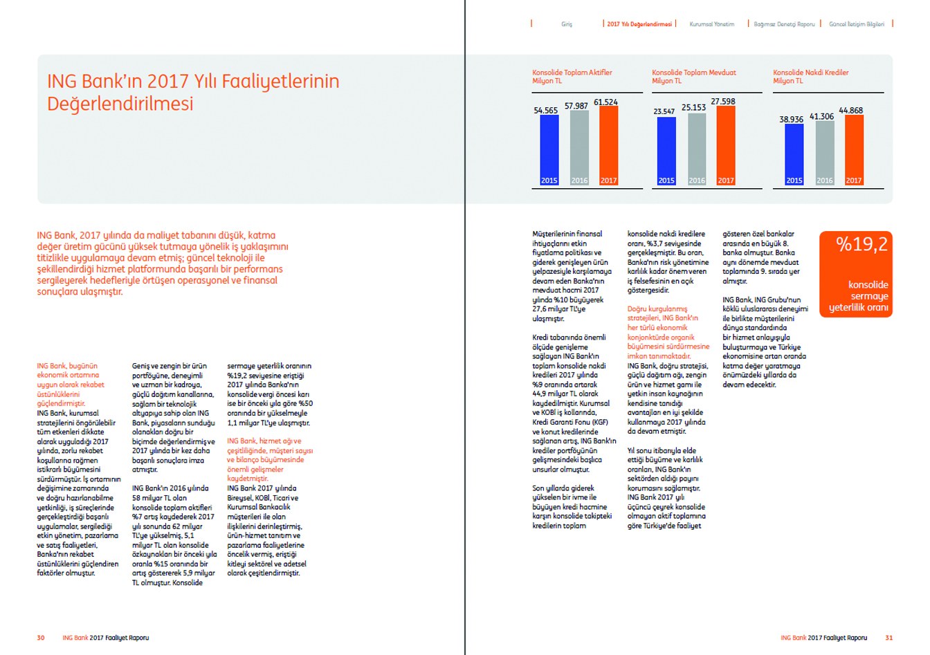 ING BANK / 2017 Faaliyet Raporu / 2017 Annual Report