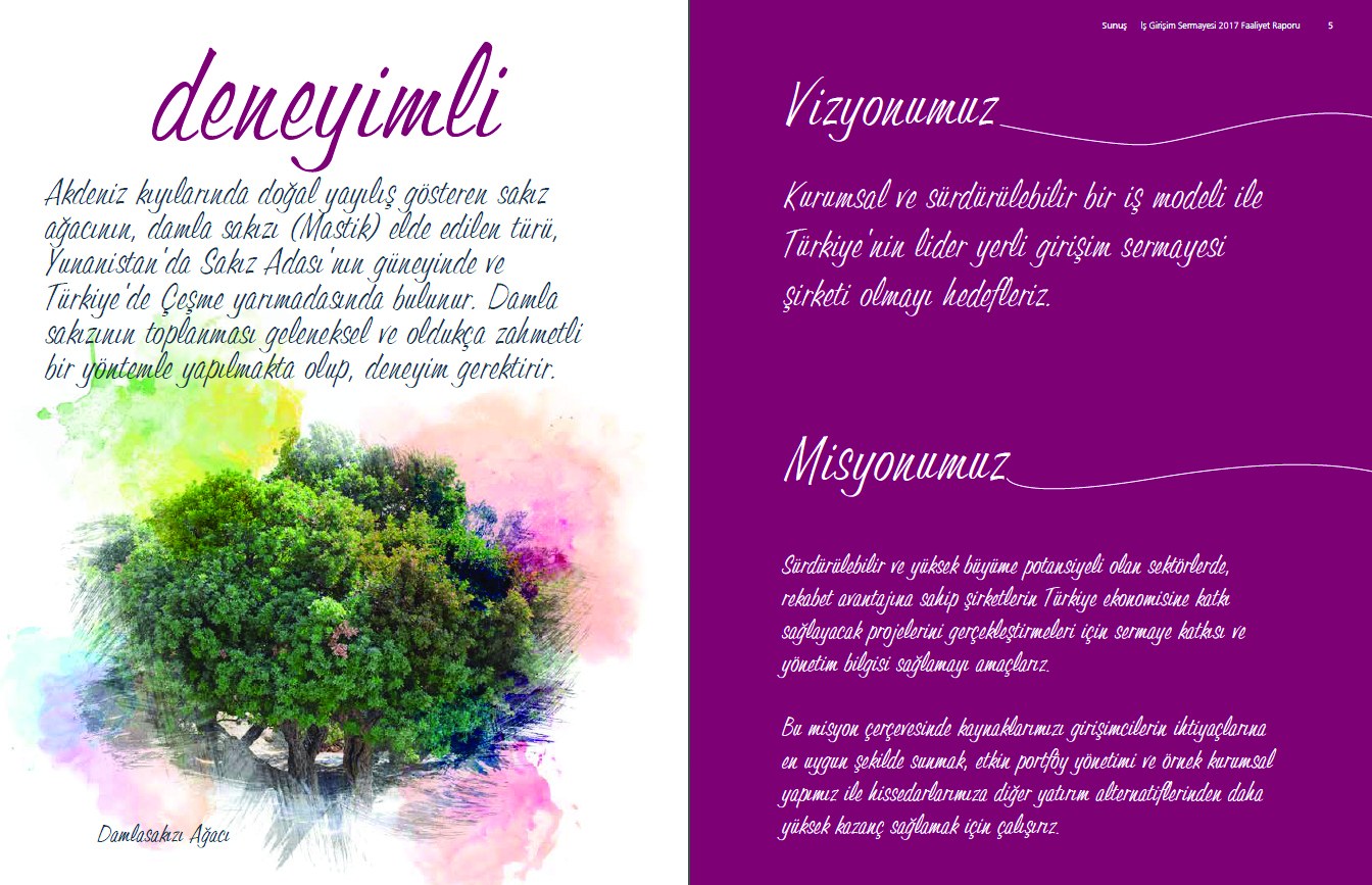 İŞ GİRİŞİM SERMAYESİ / 2017 Faaliyet Raporu / 2017 Annual Report