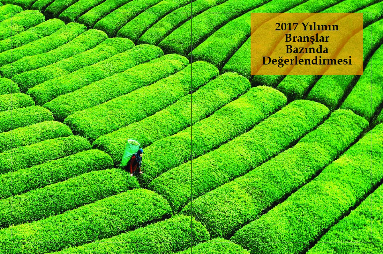 TARSİM / 2017 Faaliyet Raporu / 2017 Annual Report