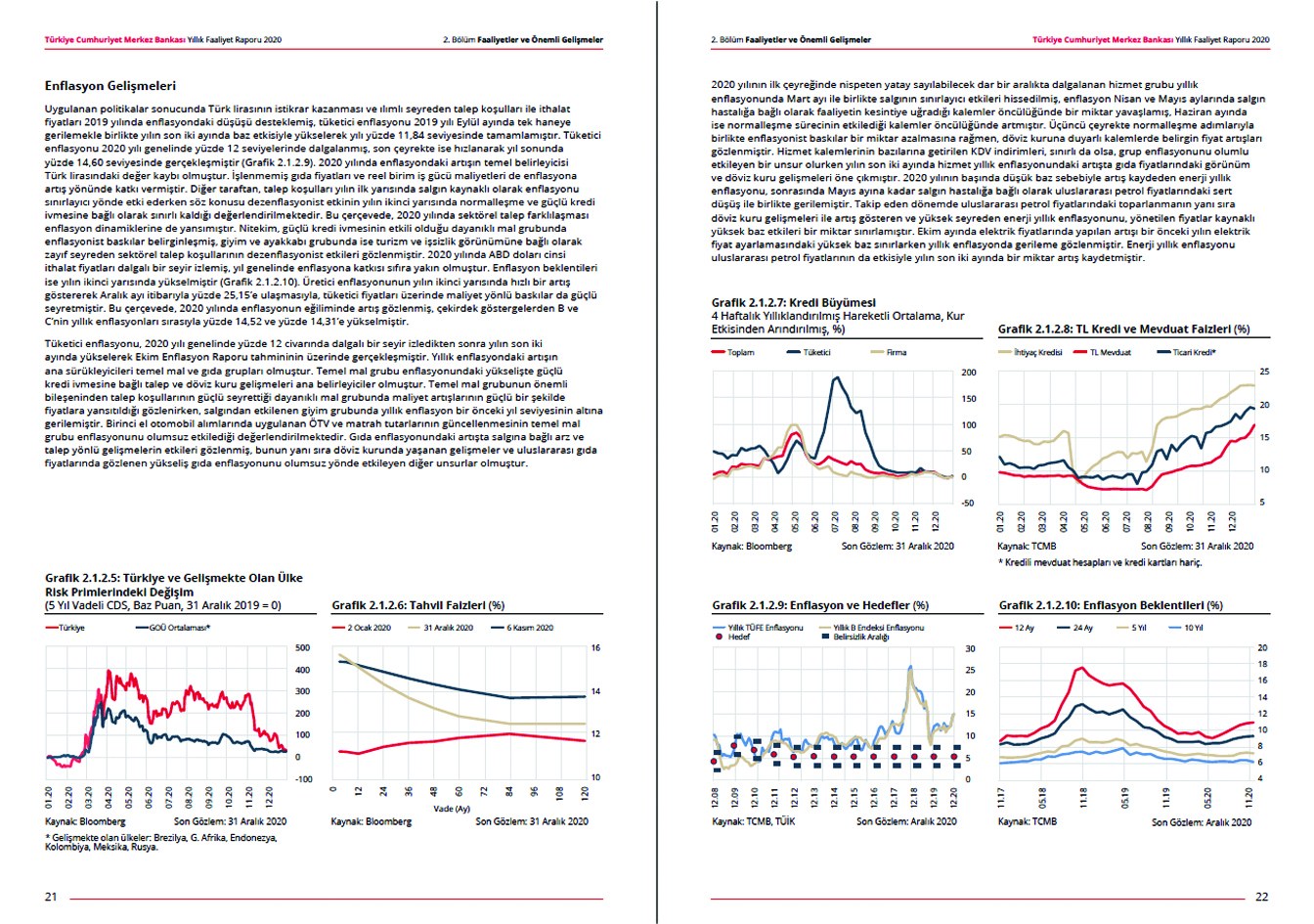 T.C. MERKEZ BANKASI / 2020 Faaliyet Raporu / 2020 Annual Report