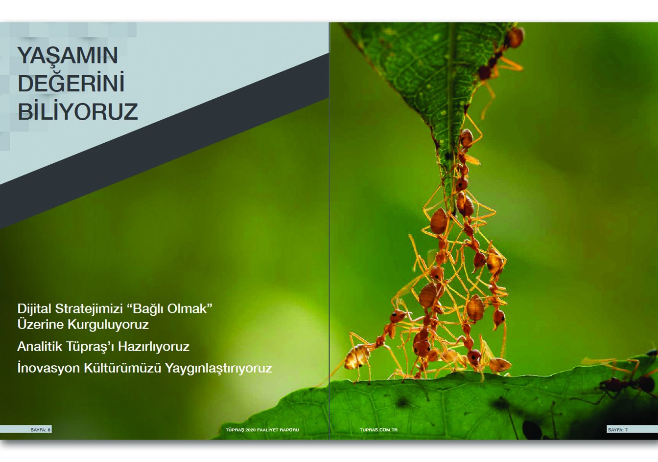 TÜPRAŞ / 2020 Faaliyet Raporu / 2020 Annual Report