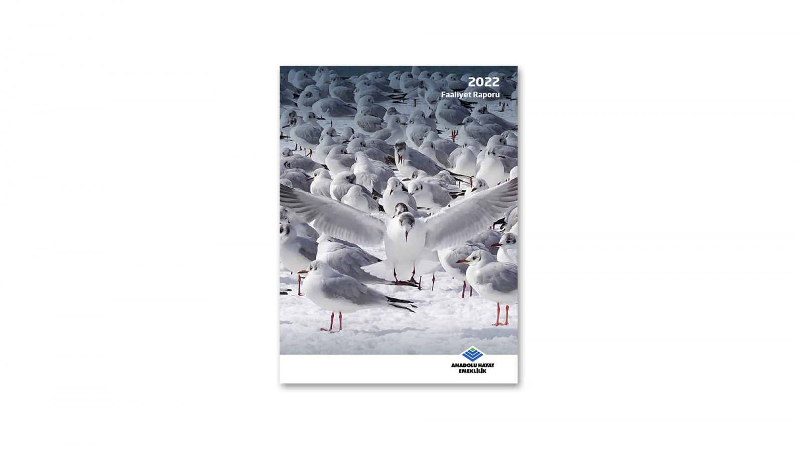 ANADOLU HAYAT EMEKLİLİK / 2022 Faaliyet Raporu / 2022 ANNUAL REPORT