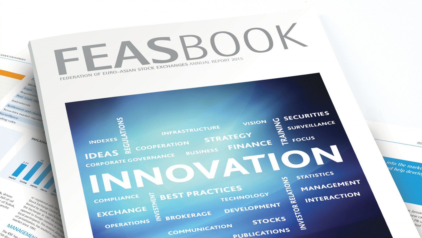 FEDERATION OF EURO-ASIAN STOCK EXCHANGES (FEAS) / 2015 Faaliyet Raporu / 2015 Annual Report