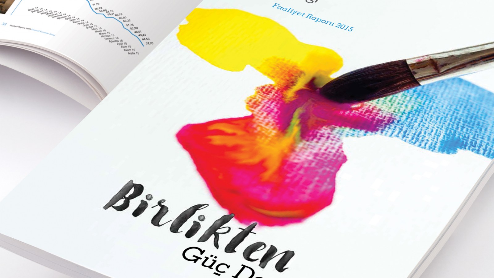 FİNANSAL KURUMLAR BİRLİĞİ / 2015 Faaliyet Raporu / 2015 Annual Report